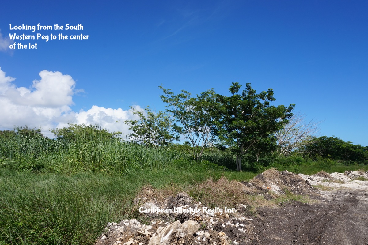 Balls Lot C, Commercial and Industrial Land | Barbados Property and ...