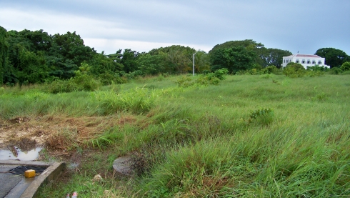 Featured Image