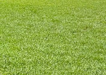 D9_72904 - Photo 1